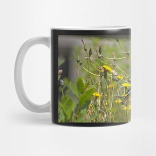 Chardonneret élégant Mug